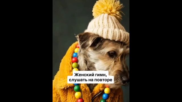 гимн женщин смотреть онлайн