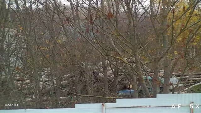 в_з №48-18.10.25-после проверки Росреестра-виз пил станка, облако углекислого газа, шум от сушилки.