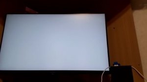 как стать птицей в гта  5
