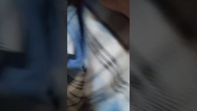 простой прямой эфир