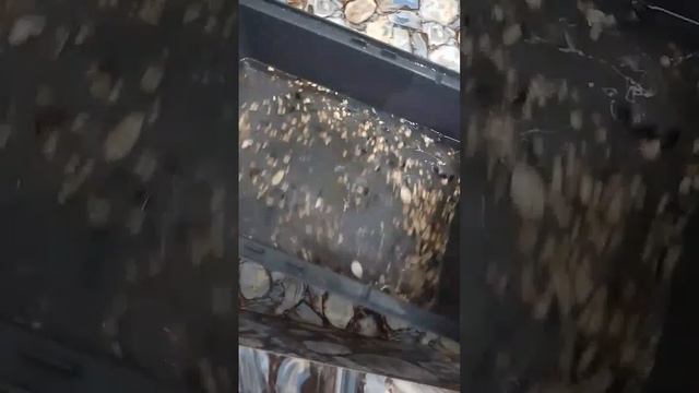 мойка крысиной клетки смотреть онлайн