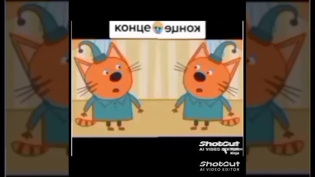 1000013116.mp4 смотреть онлайн