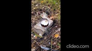 Хлорат Калия + Тиосульфат Натрия