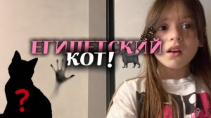 ВЫЗВАЛА ДУХА ЕГИПЕТСКОГО КОТА!!🐱🐱