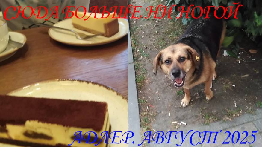 ЗРЯ ПОТРАТИЛИ ДЕНЬГИ. СЮДА БОЛЬШЕ НИ НОГОЙ.😩😱👎☕🍵🍰🍜🍲🍸 смотреть онлайн