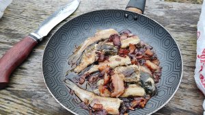 Рыбалка на Вятке. Отличный поход. Жареные щурята на сале с луком. Спасаем выпускаем рыбу в речку.