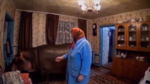 Булька барабулька бегемот - прикол от нейросети про бабку и бегемота