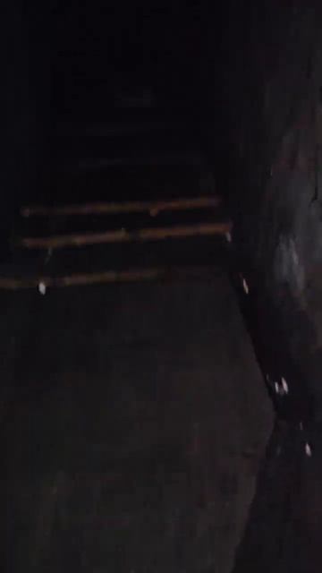 Карелия. Медвежьегорск. Гора Лысуха. Karelia. Medvezhyegorsk. Mount Lysukha смотреть онлайн