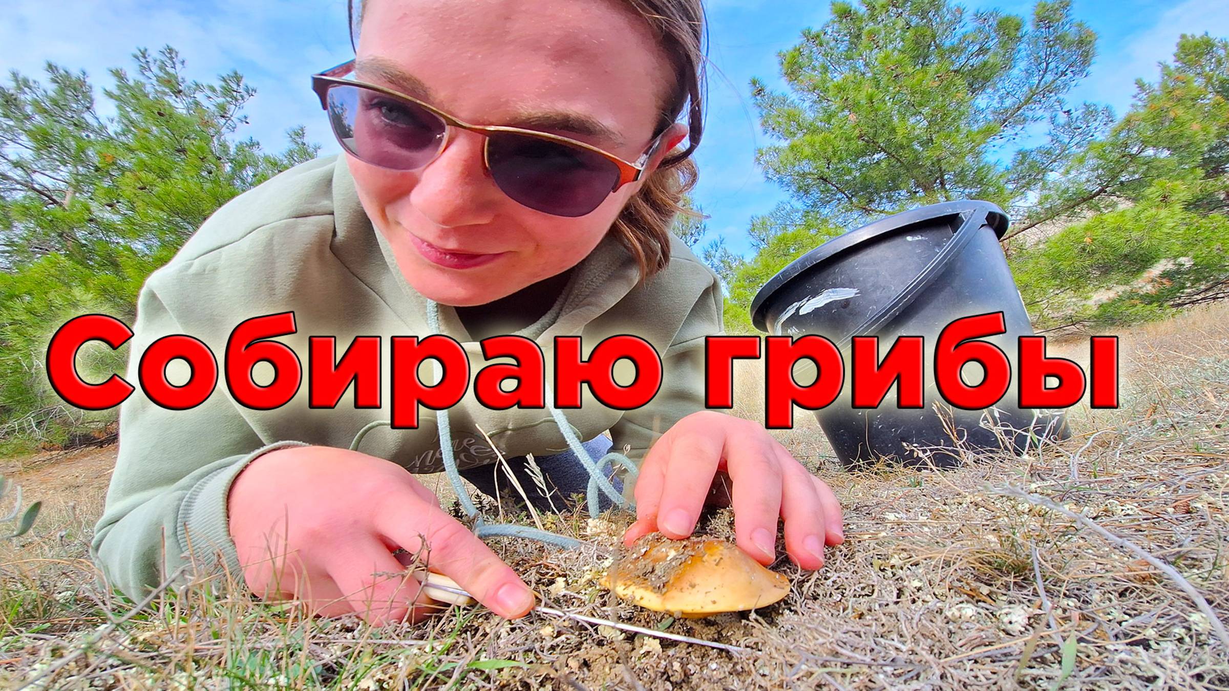 Грибной день в Крыму: ингредиент для пиццы мы нашли в лесу!