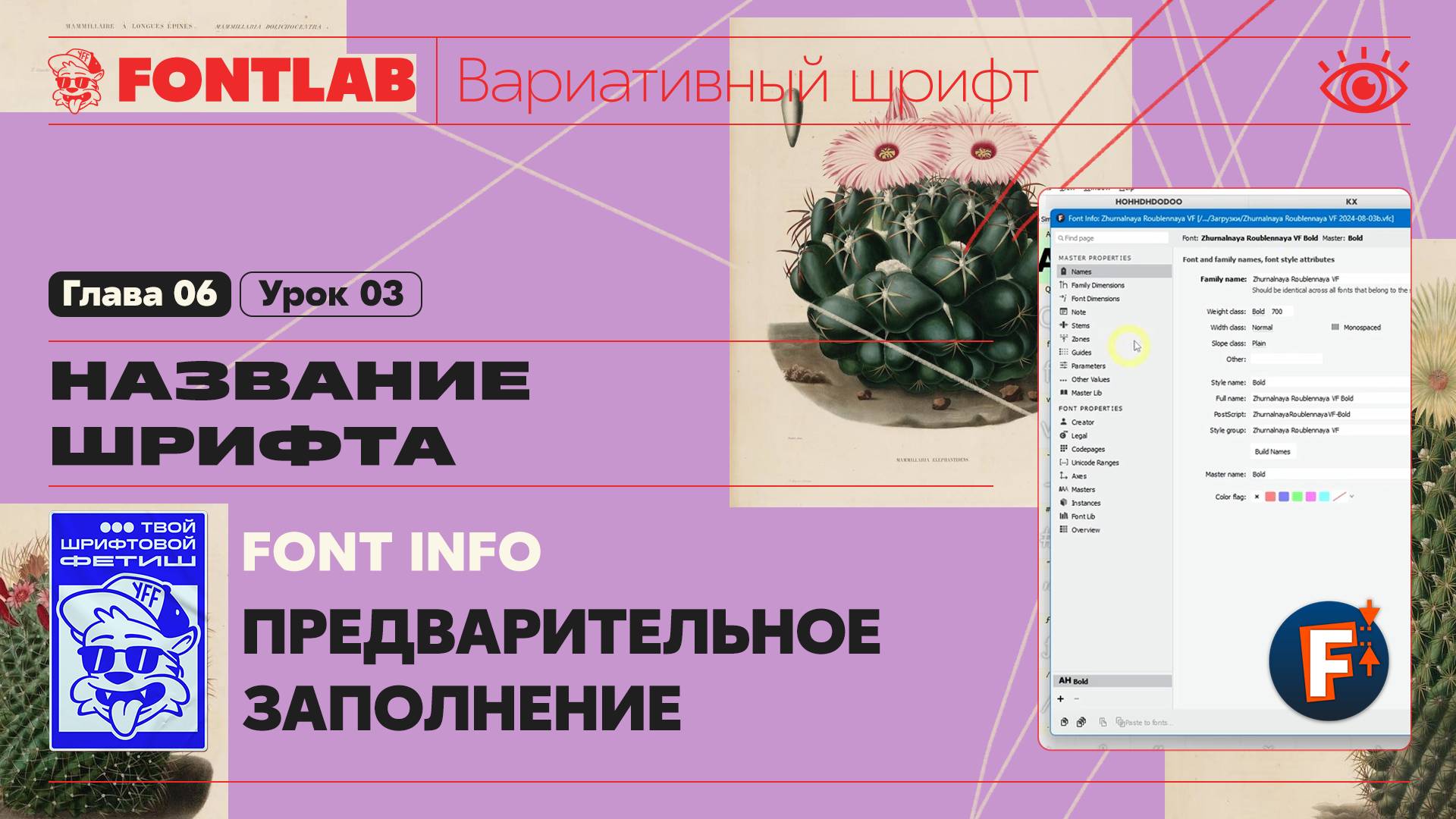 ДВШ 06-03 Название шрифта – Предварительное заполнение Font Info – Урок Fontlab