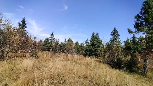 откликной гребень таганай