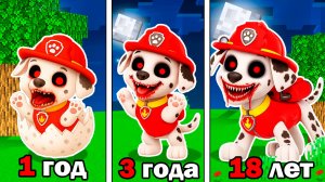 ЭВОЛЮЦИЯ МАРШАЛ ЩЕНЯЧИЙ ПАТРУЛЬ В МАЙНКРАФТ PAW PATROL МУЛЬТИК