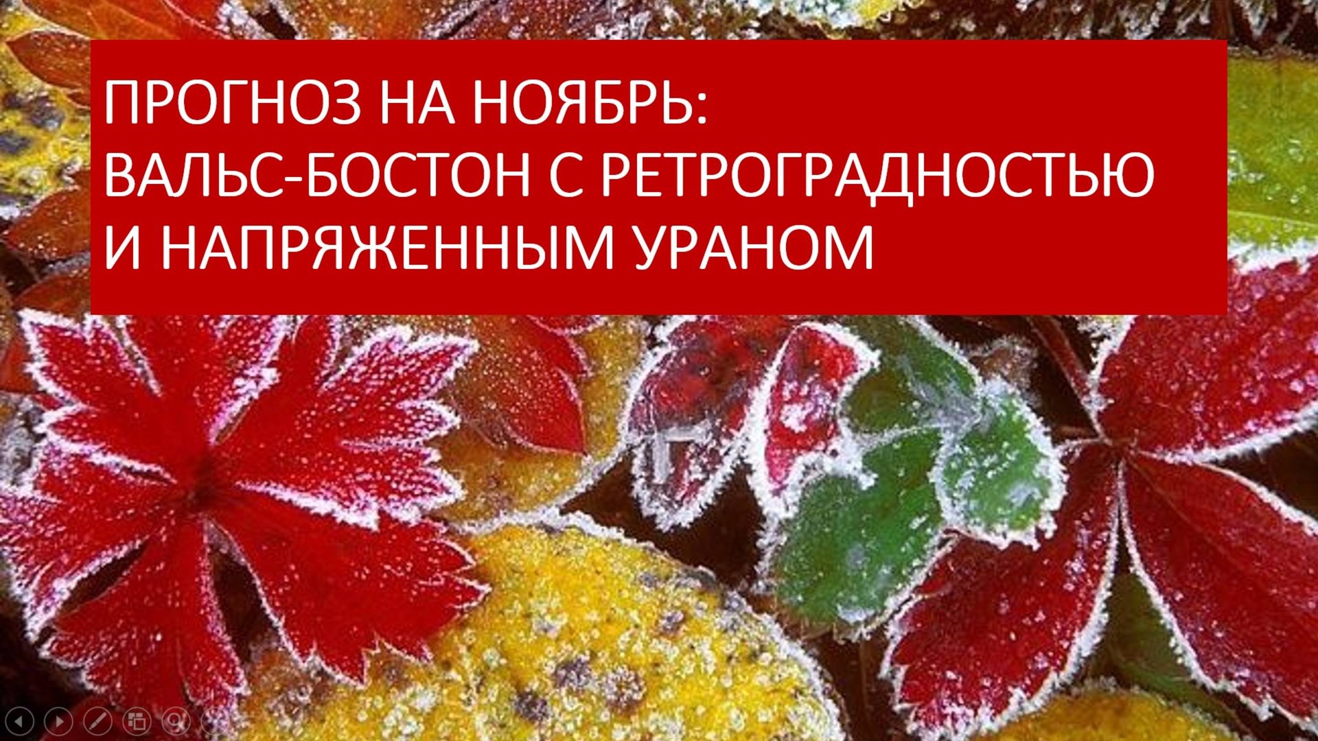Прогноз астрологический на ноябрь 2025 смотреть онлайн