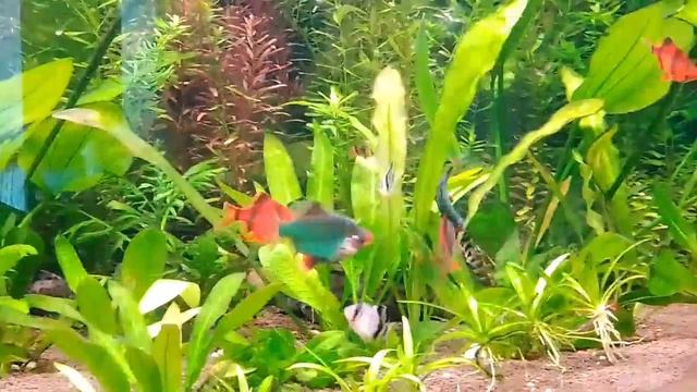 Не стареют душой Ветераны!🙂 смотреть онлайн