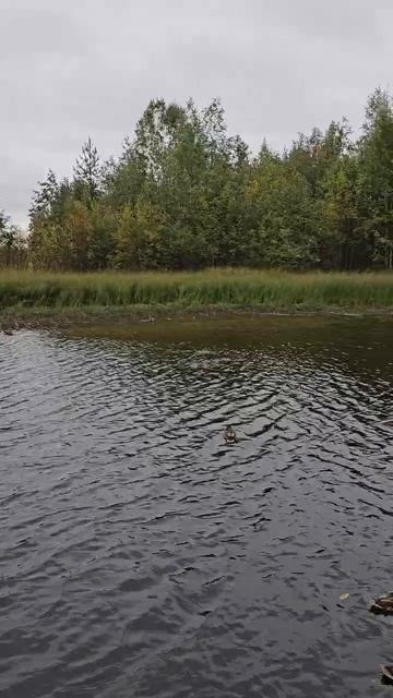 Карелия. Медвежьегорск. Karelia. Medvezhyegorsk смотреть онлайн