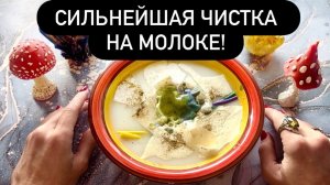 🌪️💥СИЛЬНЕЙШАЯ ЧИСТКА НА МОЛОКЕ!‼️