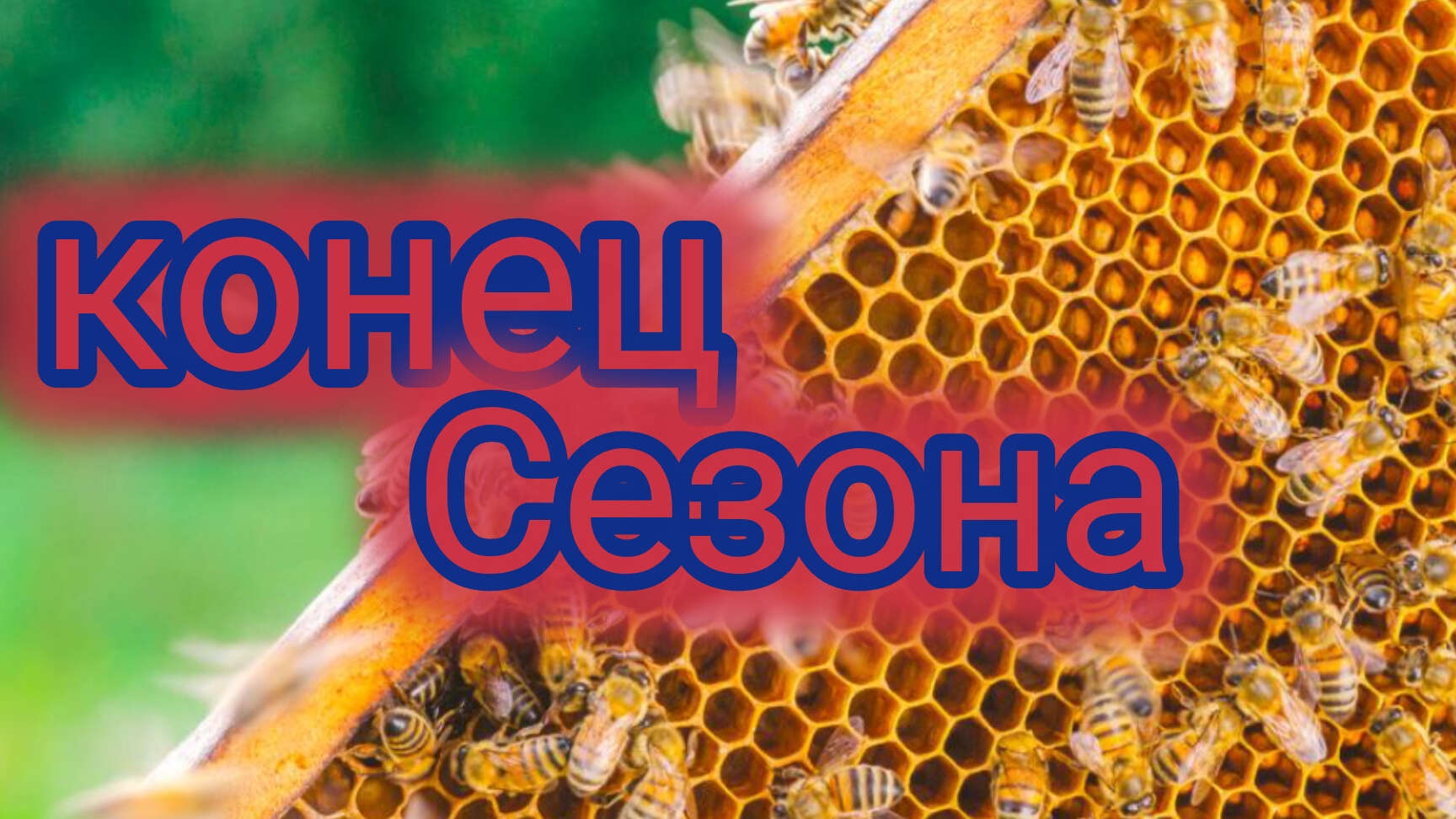 конец сезона.Последние лечение 🐝🐝 смотреть онлайн