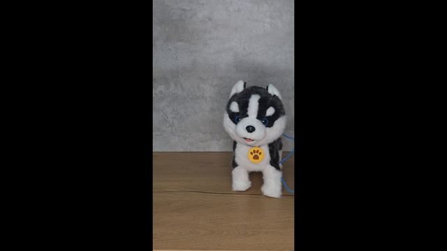 copy_492C6BEE-FB1B-4F2E-BC13-337E73A62AE4