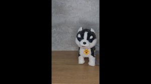 copy_492C6BEE-FB1B-4F2E-BC13-337E73A62AE4