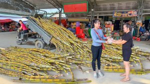 Use 3-Wheeled Truck To Harvesting Many Sugarcane Go To Countryside Market Sell ｜ Free Bushcraft