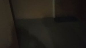 ❌ БЕЗ ИНФОРМАТОРА! Пассажирский лифт МЛМ 2020 г. в. V - 1 m/s Q - 400 КГ