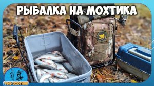 Рыбалка на Мохтика поздней осенью . На поплавок в лесу