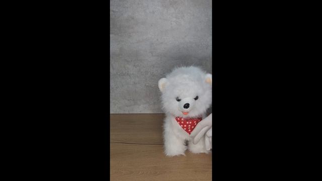 copy_B7E6ECD2-69BD-42B2-86EA-E0D25BFE7479