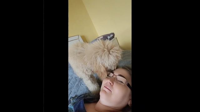 О ужас ! Что она делает! Фу смотреть онлайн