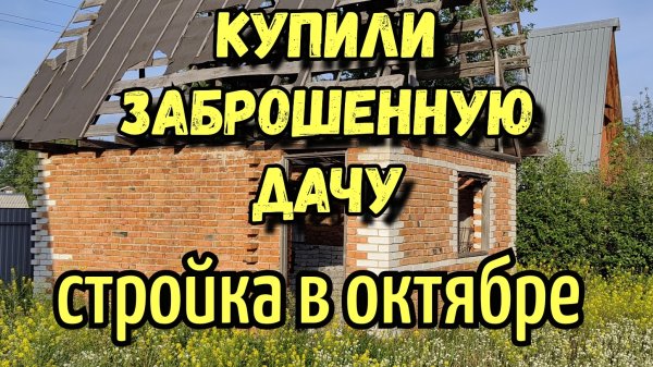 Купили заброшенную дачу