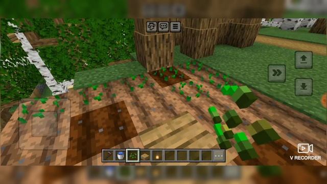 Пристройка к мельнице