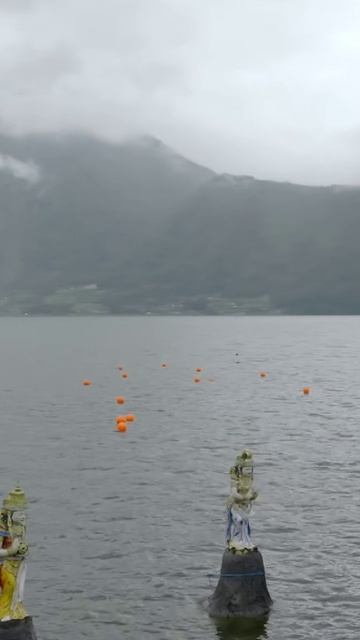 #shorts смотреть онлайн