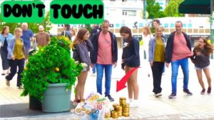 Funny videos_Funniest Bushman Scares Ever Caught on Camera! 😂🌿_