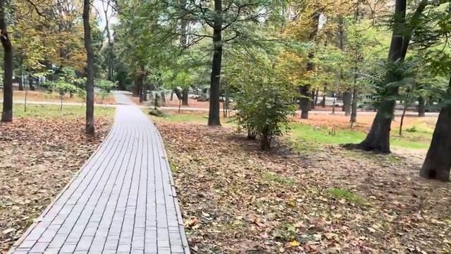 ОДЕССА 19 ОКТЯБРЯ 2025.СААКАШВИЛИ ВЫСКАЗАЛСЯ ЗА МЭРА ОДЕССЫ. МИНУТА МОЛЧАНИЯ В ОДЕССЕ. ДЕВАЛЬВАЦИЯ.