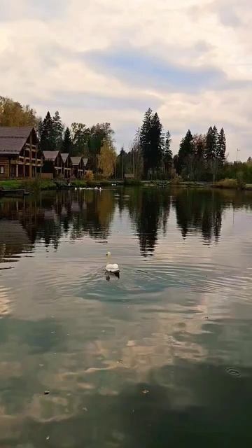 18.10.2025 г Осень/ Золотая осень смотреть онлайн