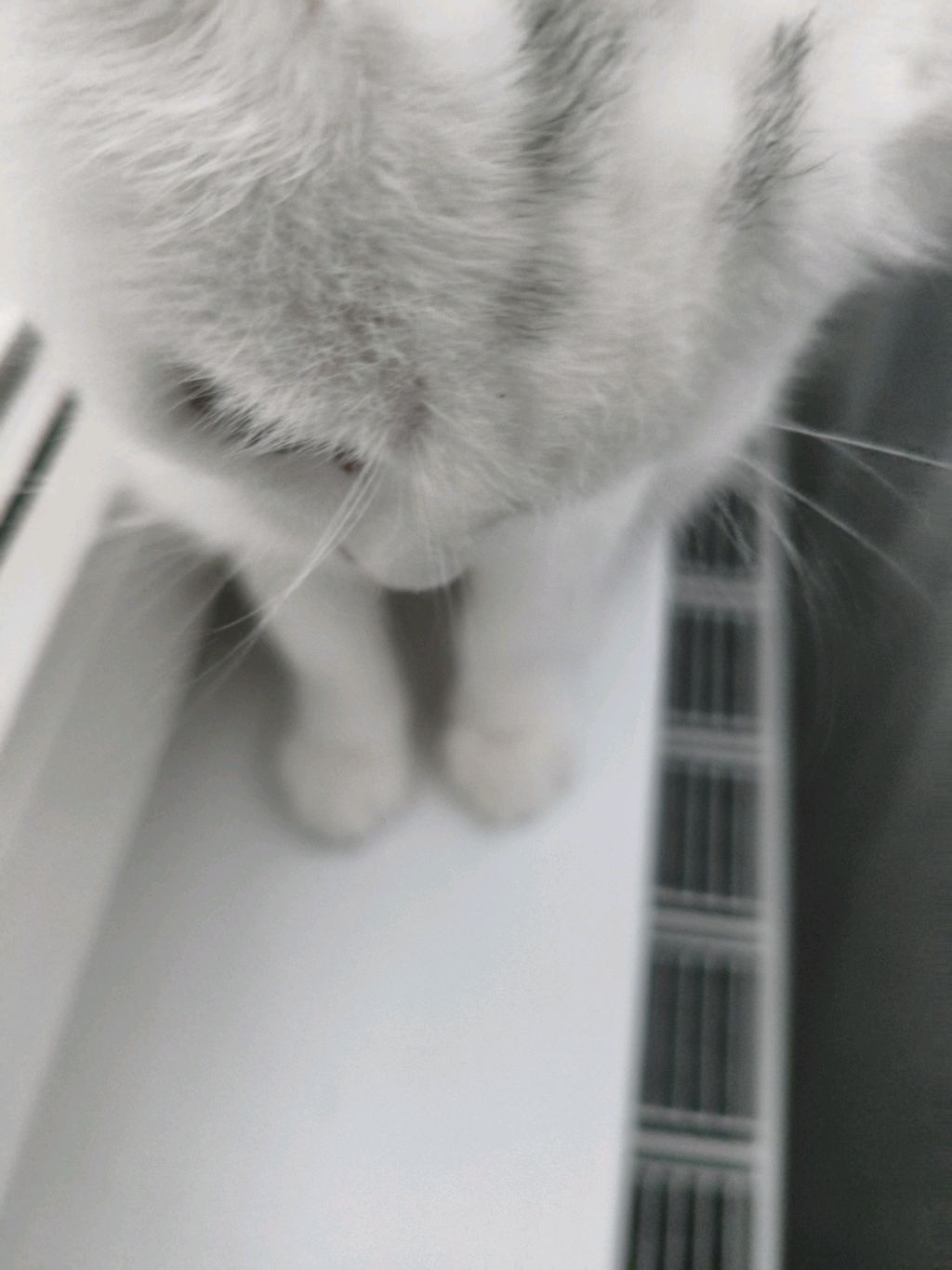 заходите на стрим говорим,играю на гитаре и просто может быть поиграем в игры