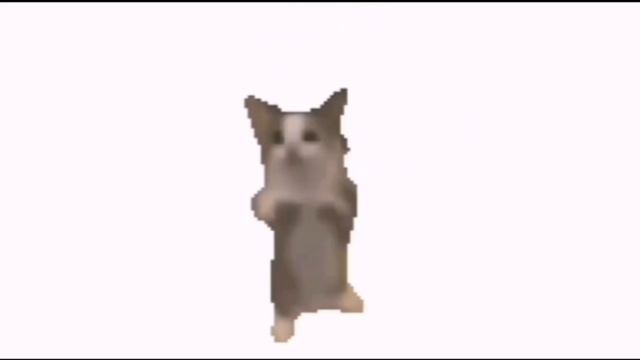 Всех с др рутуба!!! смотреть онлайн