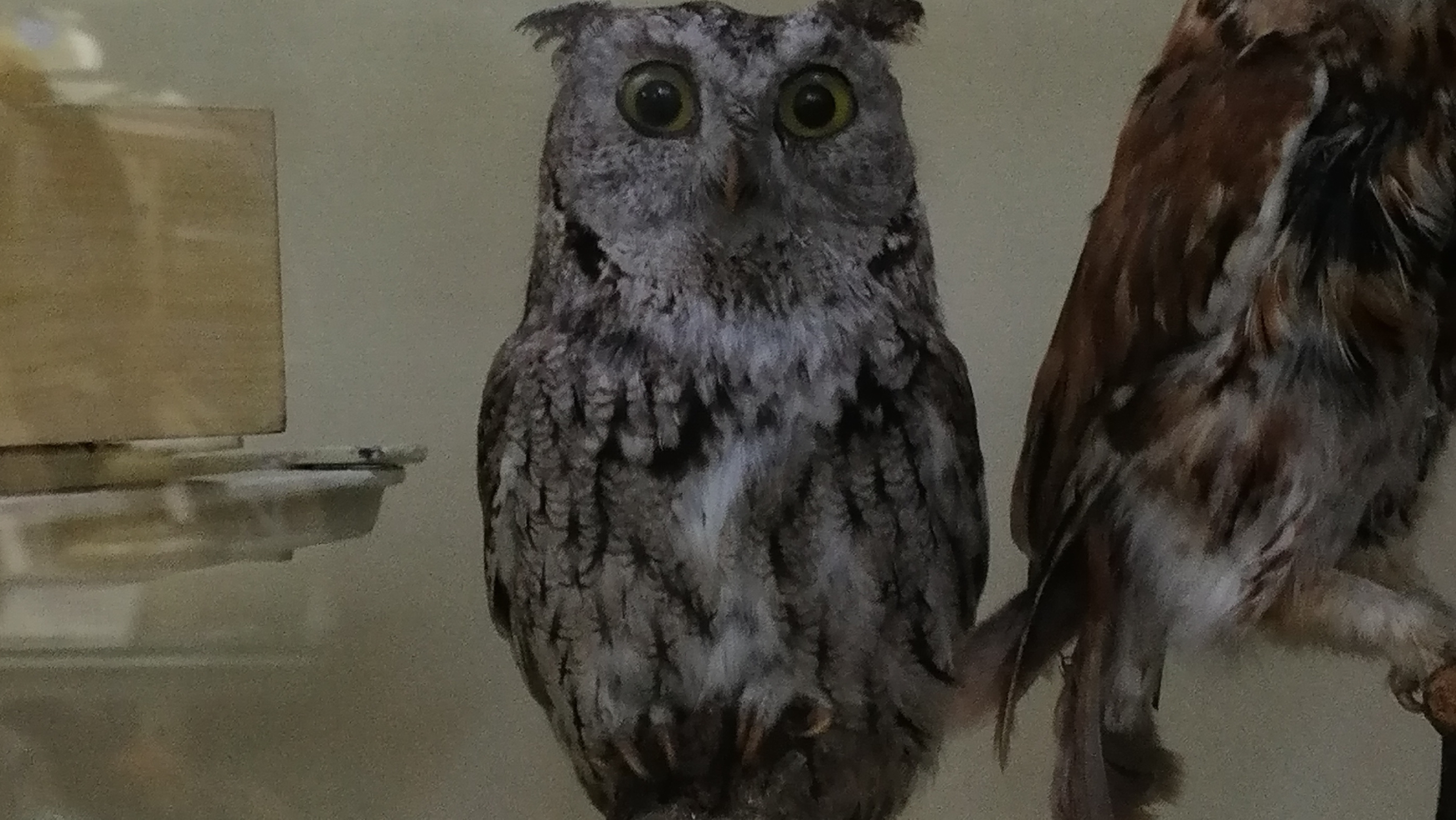 19-10-2025 смотреть онлайн