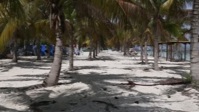 Cayo Blanco Island, Cuba смотреть онлайн