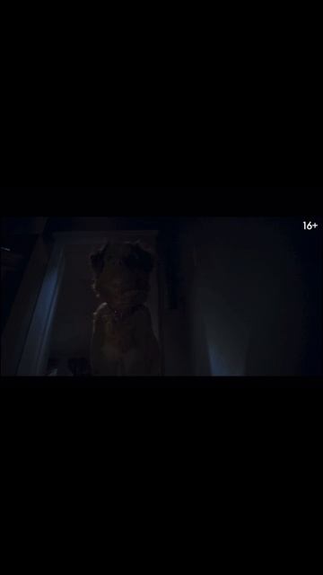 Глазами пса смотреть онлайн