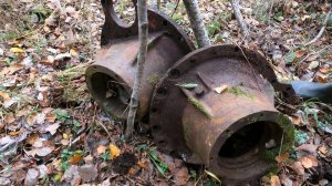 Возвращение из ТАЙГИ. Опять меня понесло. Разведка усов лихих 90-х.