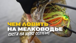 Спиннинг на Болоте на Что Ловить Щуку Осенью на Мелководье Недо Джерки Силикон и Чаттербейты