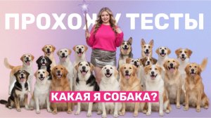 ПРОХОЖУ ОНЛАЙН ТЕСТЫ \ ОПРЕДЕЛЯЮ СВОЙ ТИПАЖ