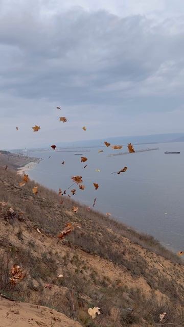 Серединка осени