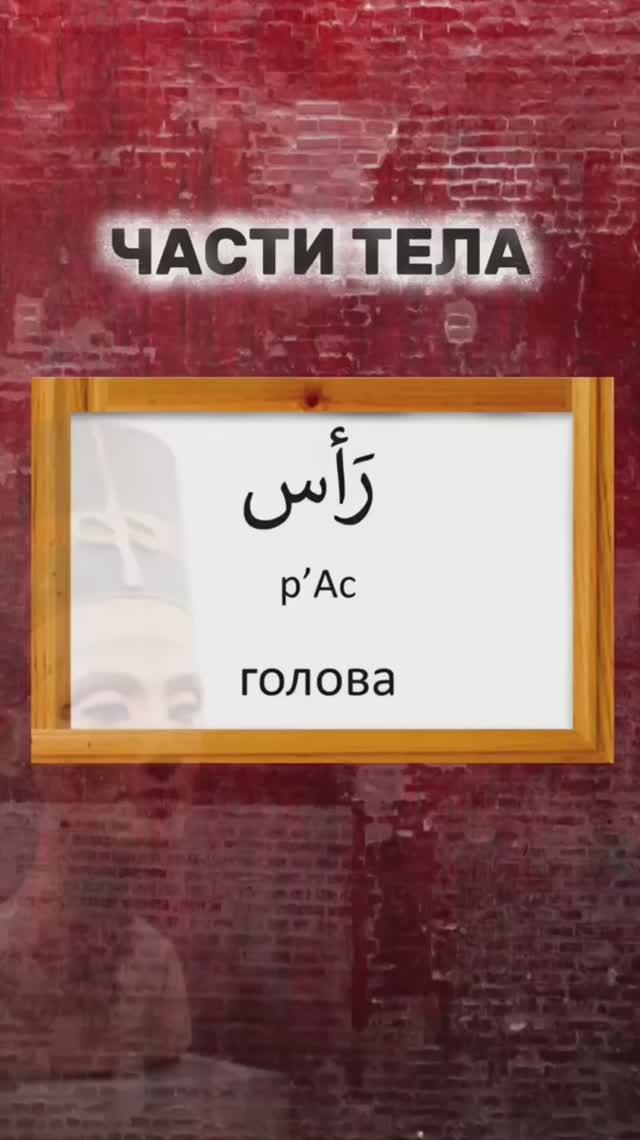 Учите арабский язык с удовольствием🤗 смотрите описание ⤵️ смотреть онлайн