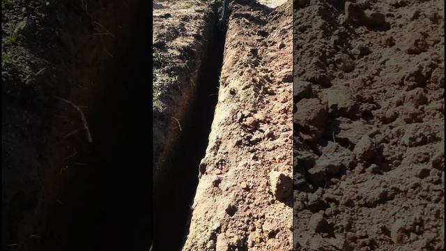 С чего всё начиналось #2 смотреть онлайн