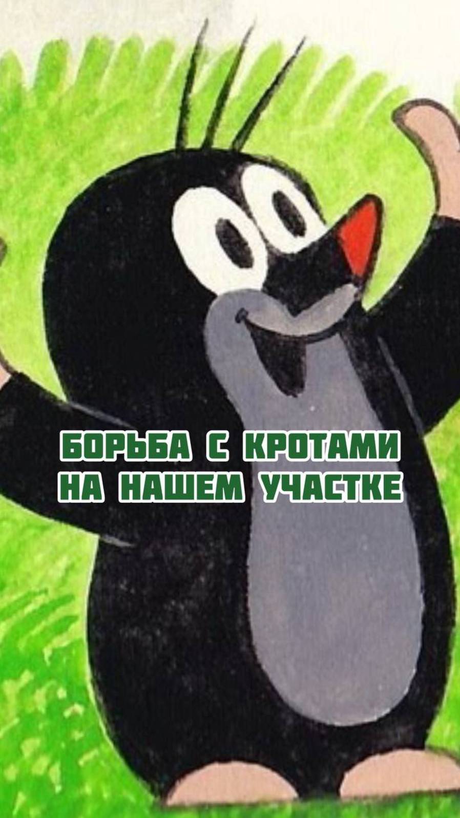 Борьба с кротами на нашем участке смотреть онлайн