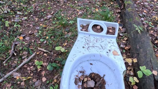 Унитаз в лесу #2