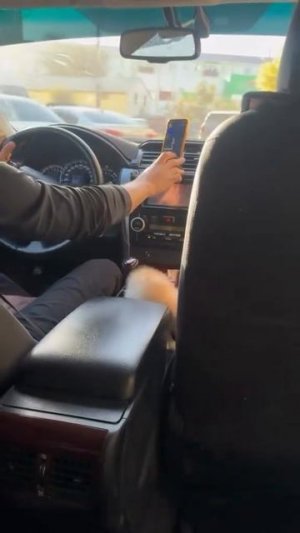 таксист c котёнком #shorts