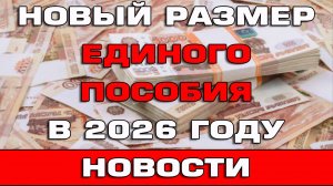 Новый размер Единого пособия в 2026 году Новости