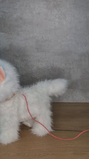 Кошка белая